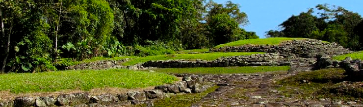 Guayabo